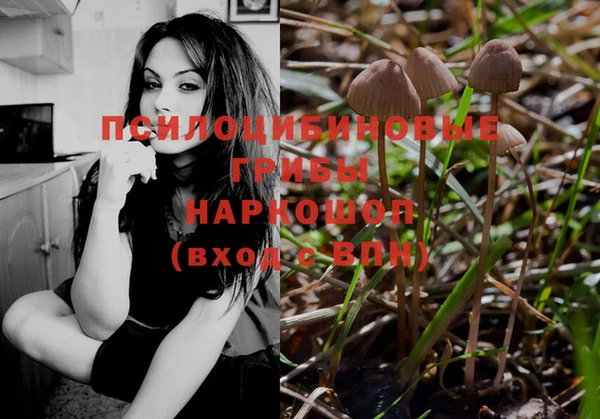 spice Осинники