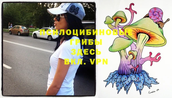PSILOCYBIN Дмитровск