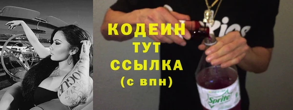spice Осинники