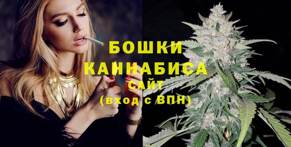 spice Осинники