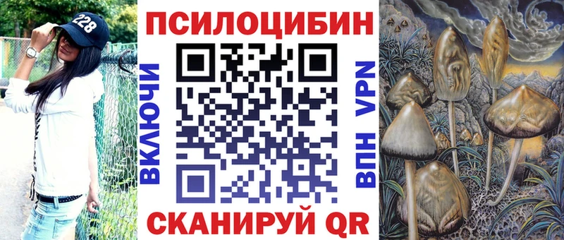 где можно купить Анива Псилоцибиновые грибы Psilocybine cubensis